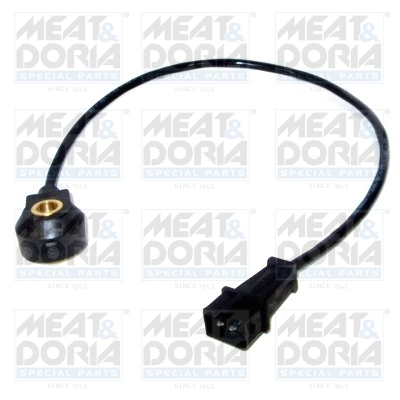 Knock Sensor